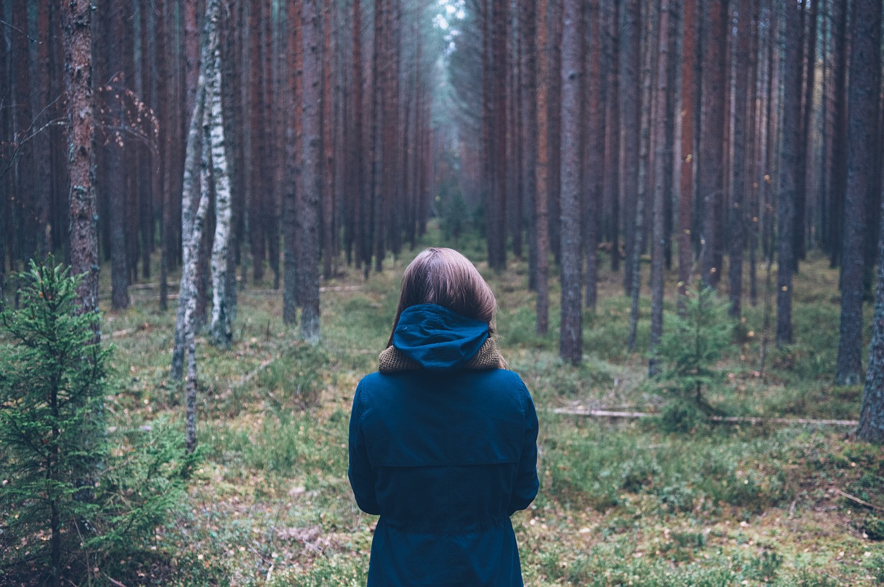 person, forest, outdoors-731476.jpg