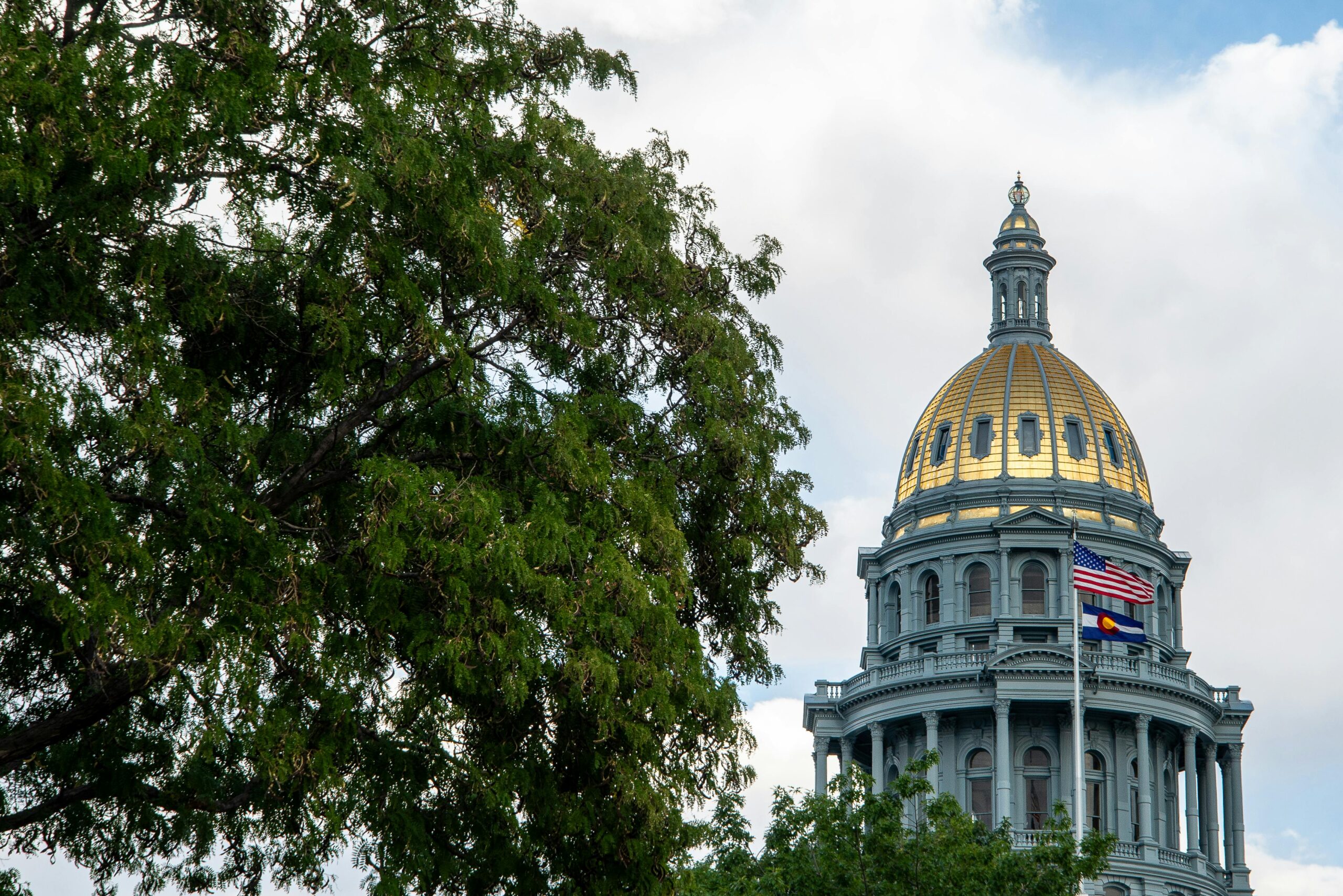 View of Denver's State Capitol with tree and flags in the foreground.